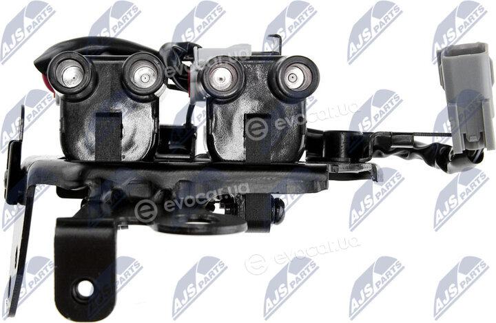 NTY ECZ-HY-509