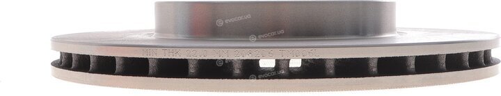 Solgy 208206