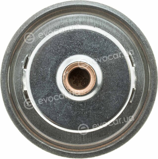 Motorad 248-71K