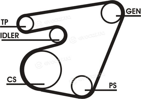 Continental 6PK1715D1