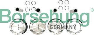 Borsehung B11136