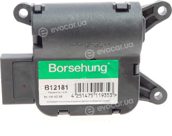Borsehung B12181