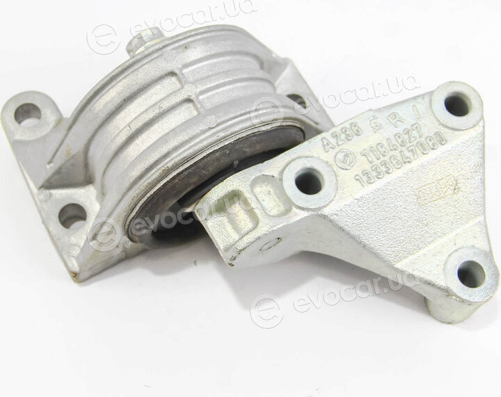 Rapro R59719