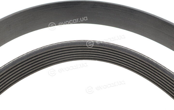 INA 529 0317 10