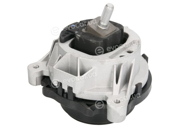 Reinhoch RH11-3067