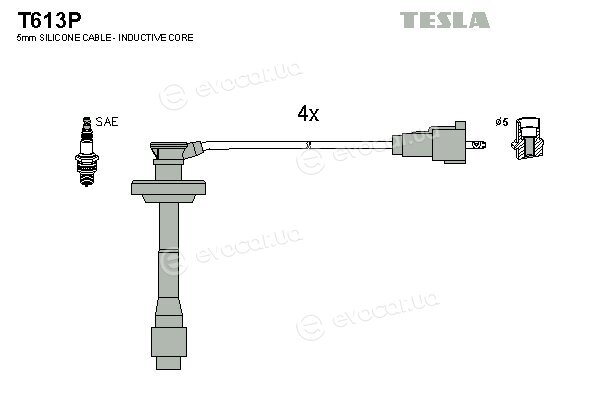 Tesla T613P