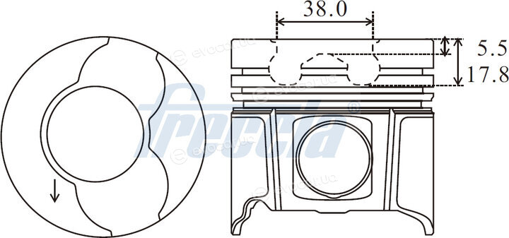 Freccia FP23-107650