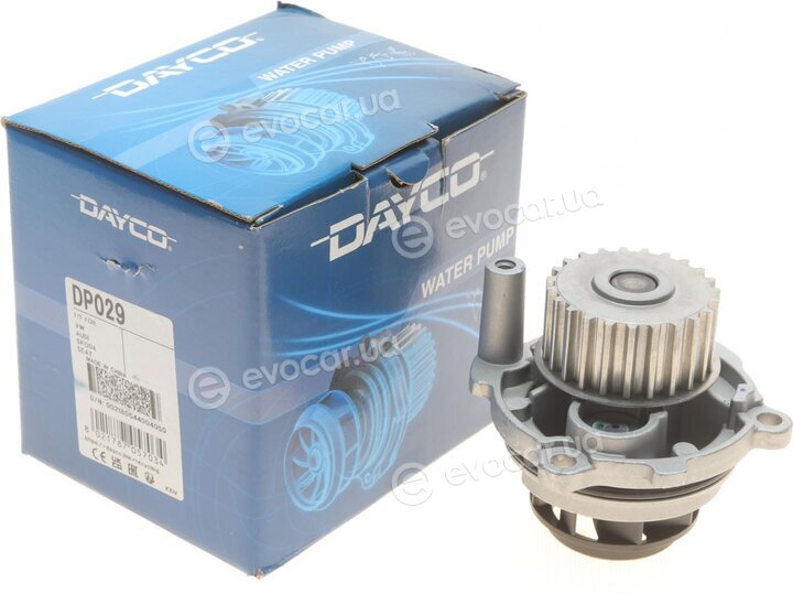 Dayco DP029