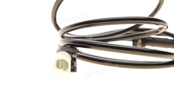 Rotweiss RW54081