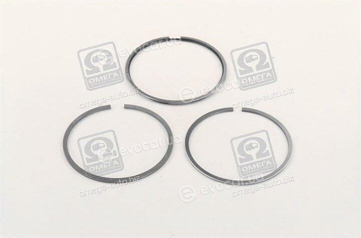 Mahle 029 55 N2