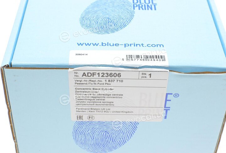 Blue Print ADF123606