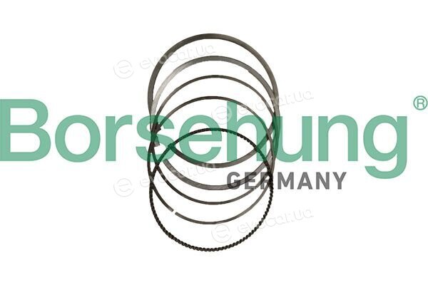 Borsehung B10378
