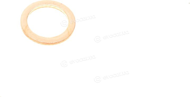 Elring 572.860