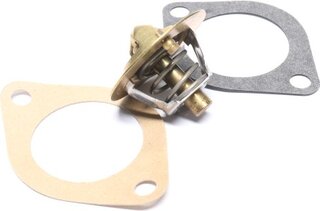 Wahler / BorgWarner 3119.82D5