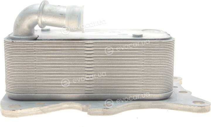 Rotweiss RW18004-1