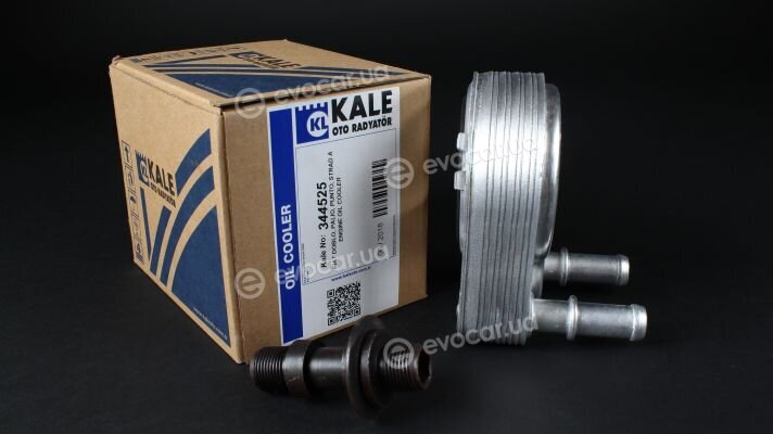 Kale 344525