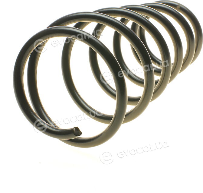 Lesjofors 4292654