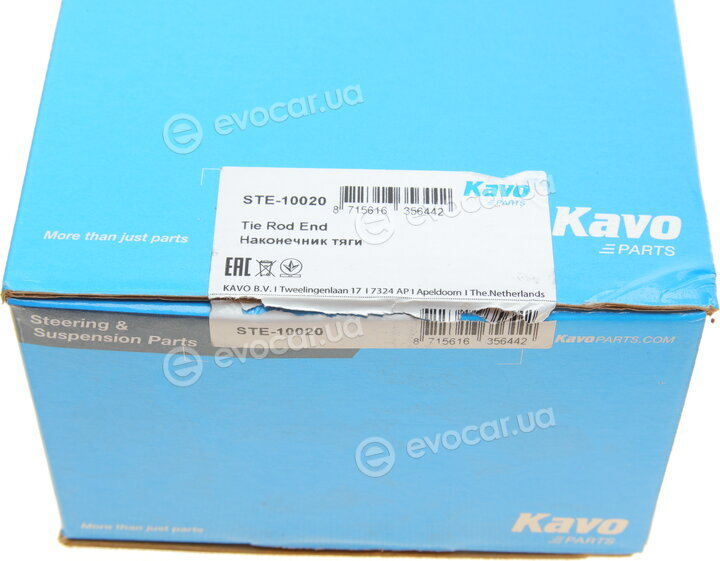 Kavo STE-10020