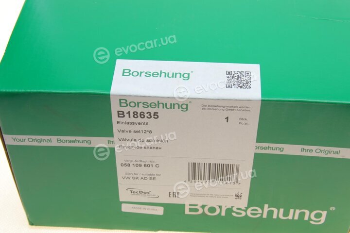 Borsehung B18635