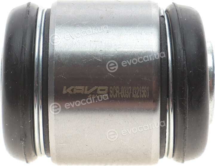 Kavo SCR-8037