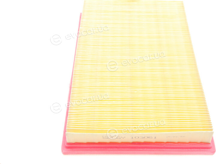 Solgy 103061