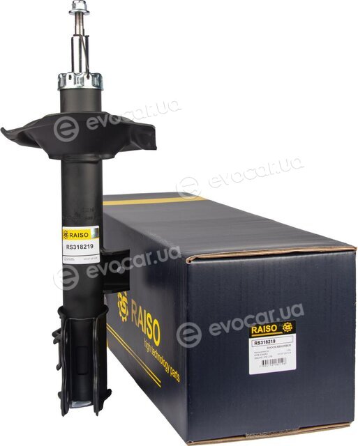 Raiso RS318219