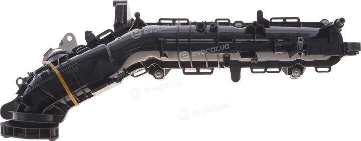 Solgy 114266