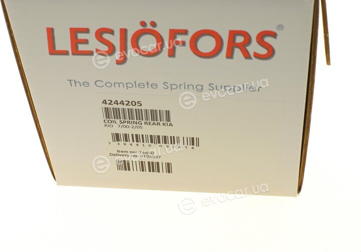 Lesjofors 4244205