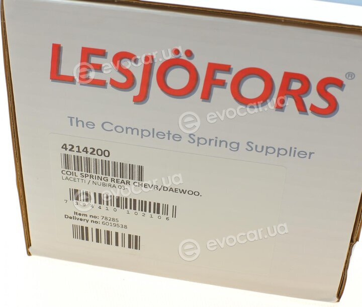 Lesjofors 4214200