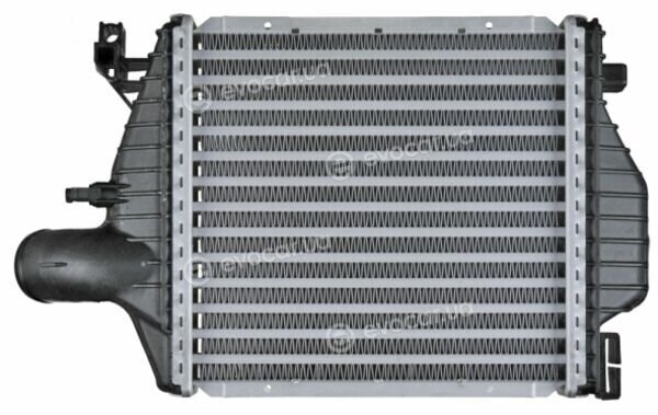 Mahle CI 106 000P