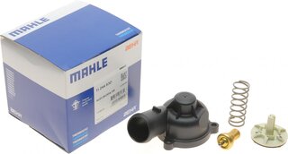 Mahle TI 244 83D